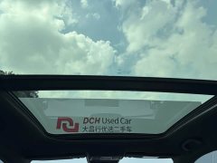 BYD Song Pro New Energy DM-i 51km Premium - ფოტო 20