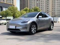 Tesla Model Y Standard Range RWD - ფოტო 1