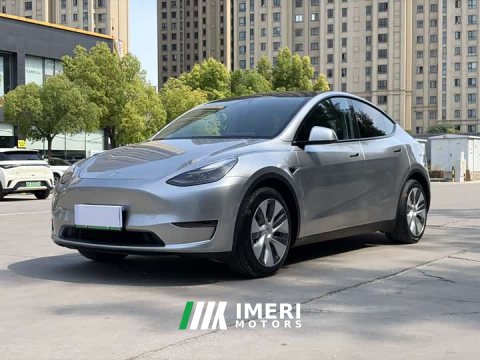 2021 Tesla Model Y Standard Range RWD - ავტომობილი ჩინეთიდან