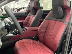 BMW 5 Series 530Li Luxury M Sport Package - ფოტო 9
