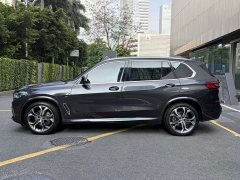 BMW X5 xDrive 40Li M Sport Package - ფოტო 3