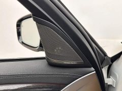 BMW 5 Series Facelift 530Li Luxury M Sport Package - ფოტო 15