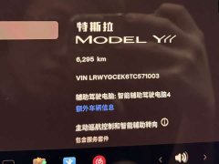 Tesla Model Y L 2025 Long Range All-Wheel Drive - ფოტო 12