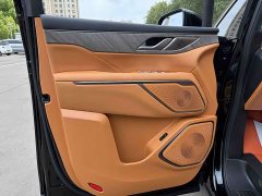 Great Wall WEY Shanshan New Energy Four-Wheel Drive Shanshan 8 - ფოტო 10
