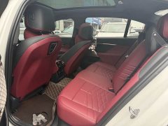 BMW 5 Series 530Li Luxury M Sport Package - ფოტო 7