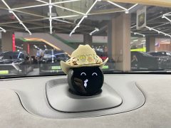 NIO ET7 100kWh Launch Edition - ფოტო 14