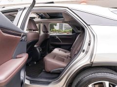 Lexus RX 2021 300 AWD Special Edition - ფოტო 10