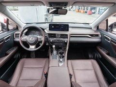 Lexus RX 2021 300 AWD Special Edition - ფოტო 13