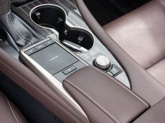 Lexus RX 2021 300 AWD Special Edition - ფოტო 18