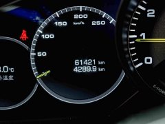 Porsche Cayenne New Energy Cayenne E-Hybrid 2.0T - ფოტო 10