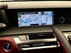 Lexus LC 2021 500h Special Edition - ფოტო 11