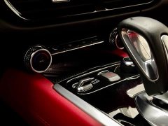 Lotus Emira 2021 2.0T DCT First Edition - ფოტო 12