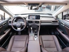 Lexus RX 2021 300 AWD Special Edition - ფოტო 13