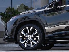 Lexus RX 2021 300 AWD Special Edition - ფოტო 8