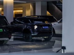 Li Auto Li Xiang MEGA Ultra - ფოტო 20