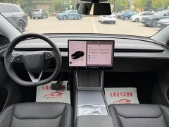 Tesla Model Y Long Range All-Wheel Drive - ფოტო 12