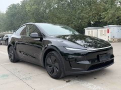 Tesla Model Y Long Range All-Wheel Drive - ფოტო 3