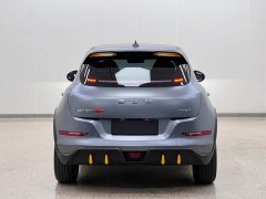ORA Good Cat GT Mulan Edition 430km Prestige - ფოტო 5