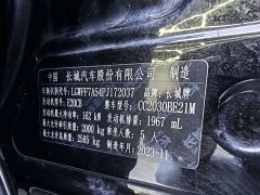 Tank 300 2.0T Conqueror - ფოტო 15
