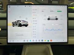 Nio Lerado L60 2024 60kWh Rear-Wheel Drive - ფოტო 10