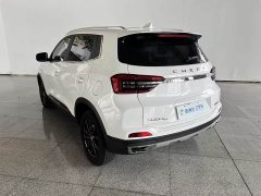 Chery Tiggo 5X PLUS Kung Fu Panda Limited Edition 1.5T CVT Smart Comfort - ფოტო 15