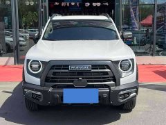 Great Wall Dachshund 2022 1.5T DCT Two-Wheel Drive Malinois Hunting Edition - ფოტო 2