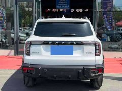 Great Wall Dachshund 2022 1.5T DCT Two-Wheel Drive Malinois Hunting Edition - ფოტო 8