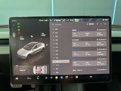 Tesla Model 3 Long Range All-Wheel Drive - ფოტო 12