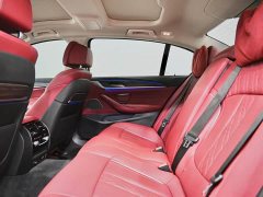 BMW 5 Series 530Li Leading Edition Luxury Package - ფოტო 8
