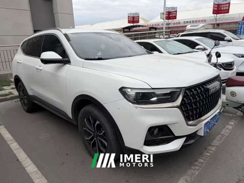 2023 Haval H6 National Trend Edition 1.5T Automatic Urban Version - ავტომობილი ჩინეთიდან