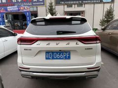 Haval H6 National Trend Edition 1.5T Automatic Urban Version - ფოტო 8