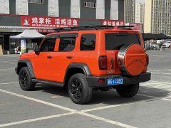 Tank 300 Off-Road Edition 2.0T Challenger - ფოტო 7
