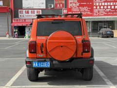 Tank 300 Off-Road Edition 2.0T Challenger - ფოტო 9