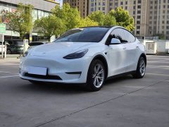 Tesla Model Y Long Range All-Wheel Drive - ფოტო 1