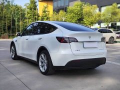 Tesla Model Y Long Range All-Wheel Drive - ფოტო 13