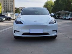 Tesla Model Y Long Range All-Wheel Drive - ფოტო 2