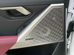 BMW 5 Series 530Li Luxury Edition Premium Package - ფოტო 16