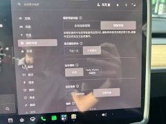 Tesla Model Y Rear-Wheel Drive - ფოტო 14
