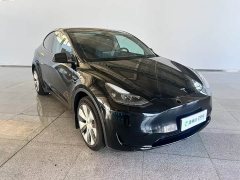 Tesla Model Y Rear-Wheel Drive - ფოტო 8