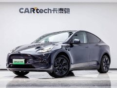 Tesla Model Y Long Range All-Wheel Drive - ფოტო 1