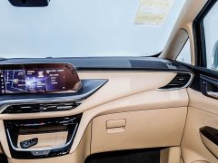 Buick GL8 New Energy Lusang Respect Edition - ფოტო 11