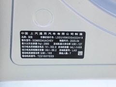 Buick GL8 New Energy Lusang Respect Edition - ფოტო 7
