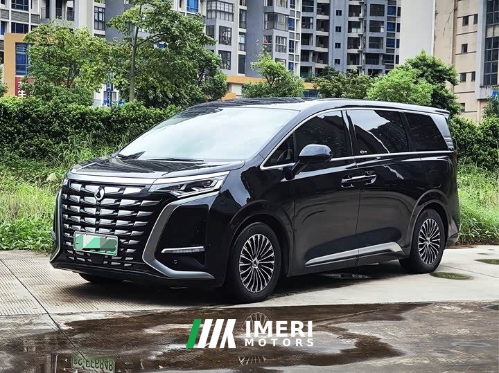 Denza BYD Denza D9 DM-i 1050 Premium - ავტომობილი ჩინეთიდან