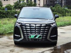 Denza BYD Denza D9 DM-i 1050 Premium - ფოტო 2