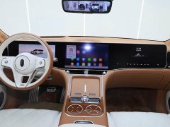 Stelato Zun S800 2025 Extended Range Starlight Executive Edition 4-Seater (192-line LiDAR) - ფოტო 20