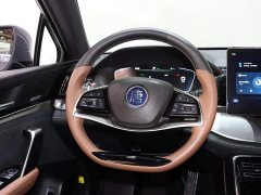BYD Yuan Plus DM-i 2021 112KM Premium Edition - ფოტო 13