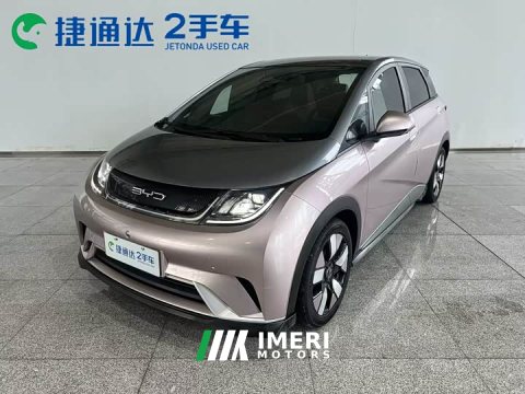 2022 BYD Dolphin 401km Knight Edition - ავტომობილი ჩინეთიდან