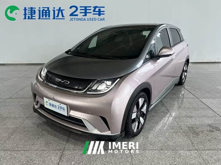 BYD Dolphin 401km Knight Edition
