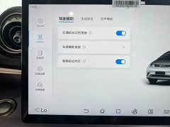 BYD Dolphin 401km Knight Edition - ფოტო 17