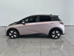 BYD Dolphin 401km Knight Edition - ფოტო 2